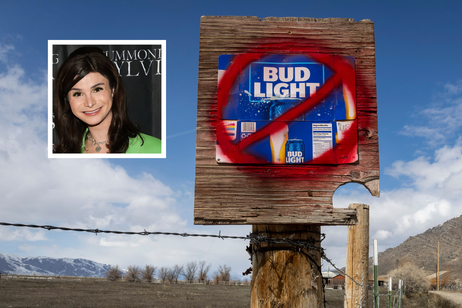 Bud Light's Sales and Reputation Suffer Amid Controversies.