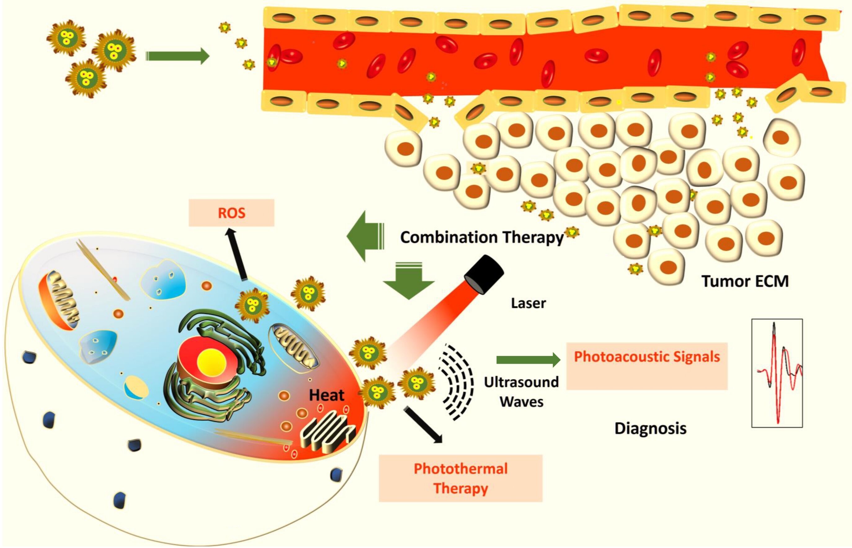 Featured image for IISc's Breakthrough: Hybrid Nanoparticles Revolutionize Cancer Cell Targeting