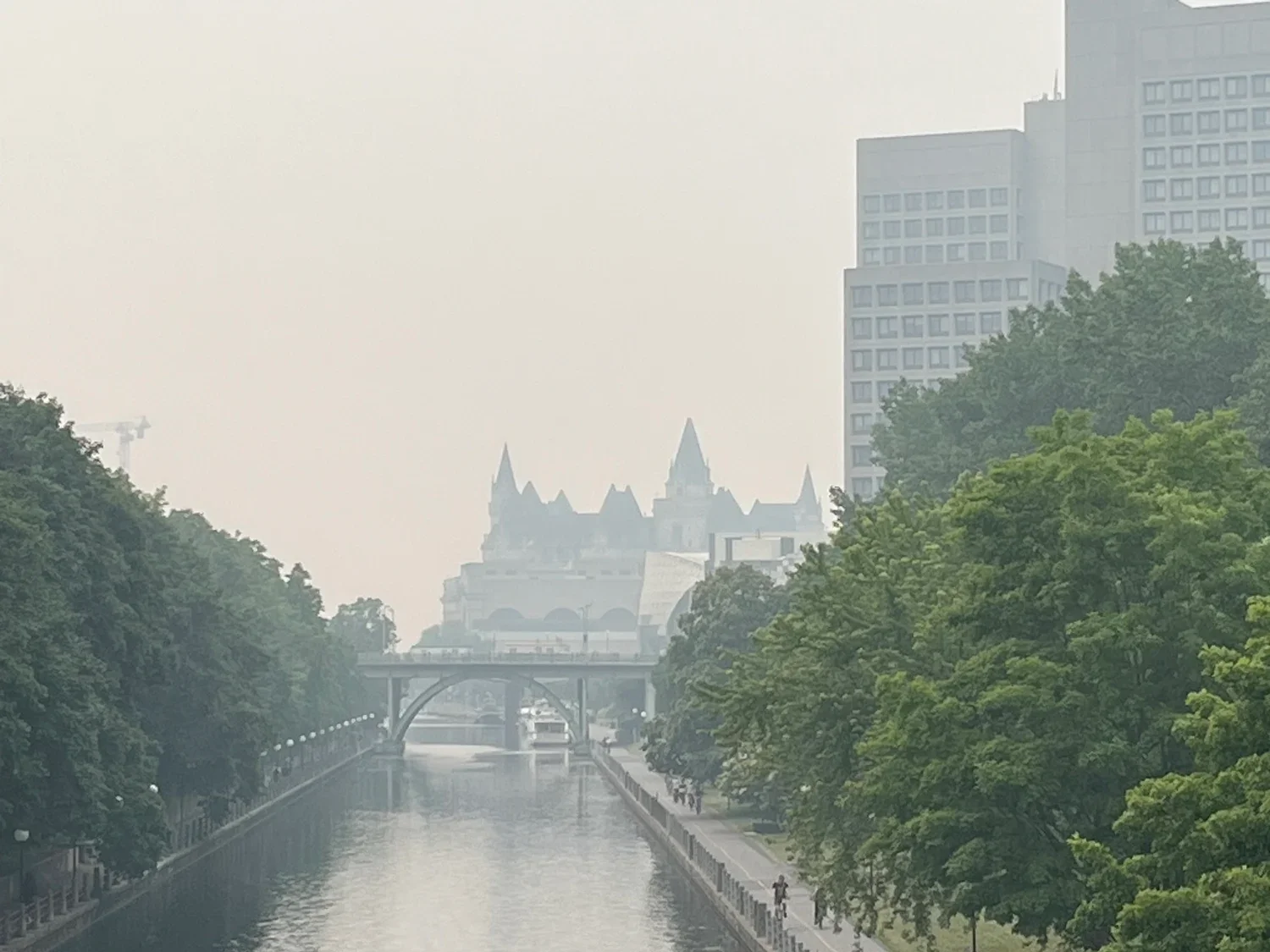 Global Spread of Canadian Wildfire Smoke.