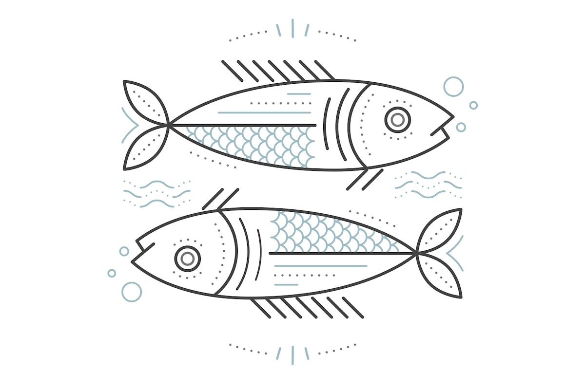 Featured image for "February 24, 2024: Your Daily Horoscope Predictions"