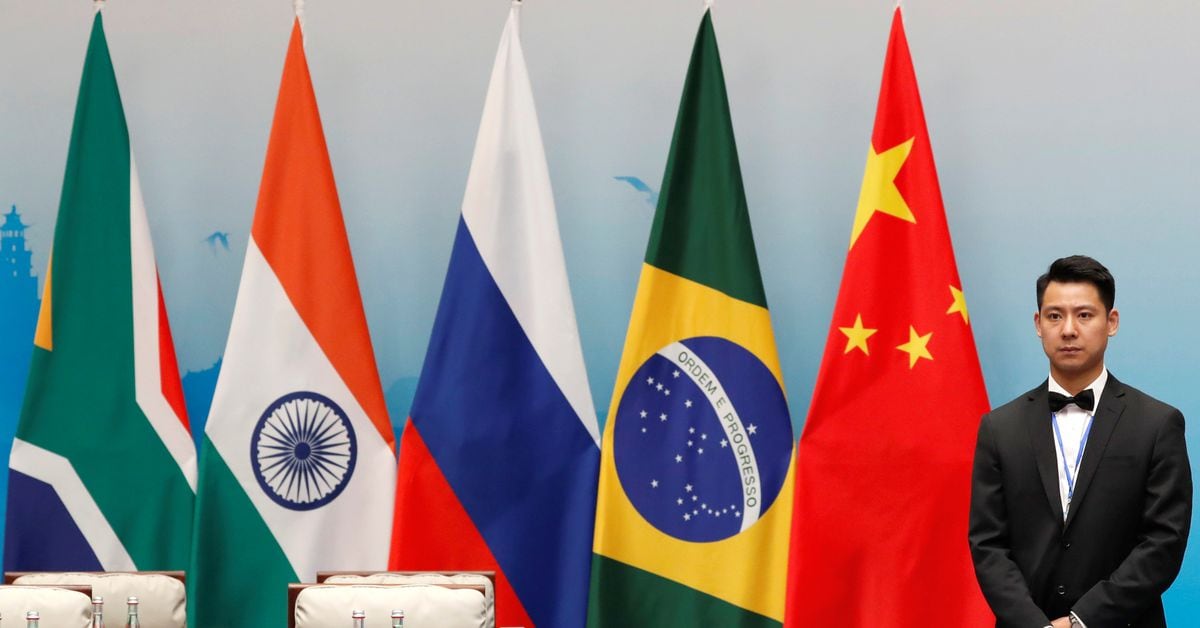 BRICS Summit in South Africa: Challenging Western Hegemony