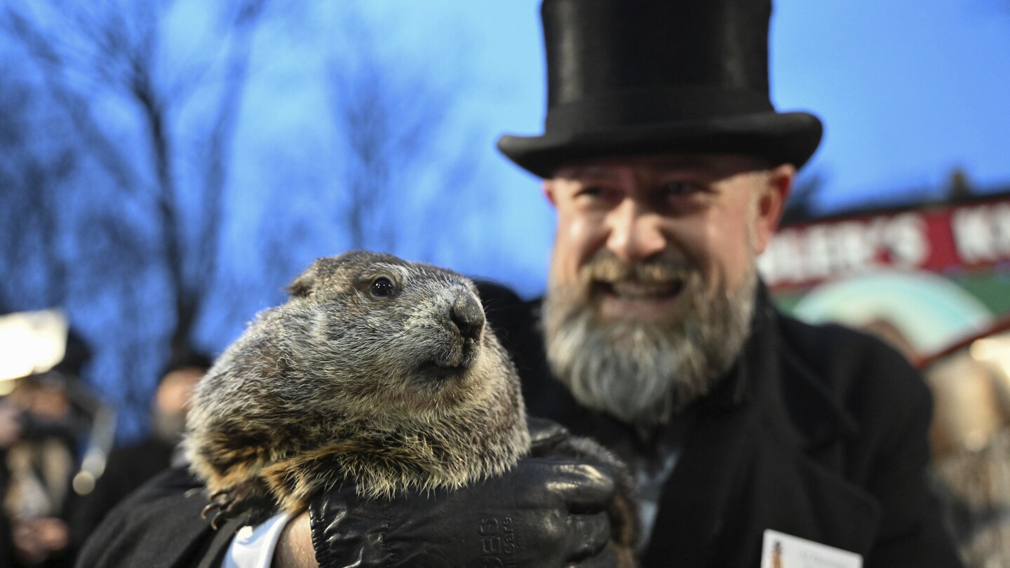 Featured image for "Punxsutawney Phil and Phyllis Celebrate Arrival of 2 New Groundhog Babies"