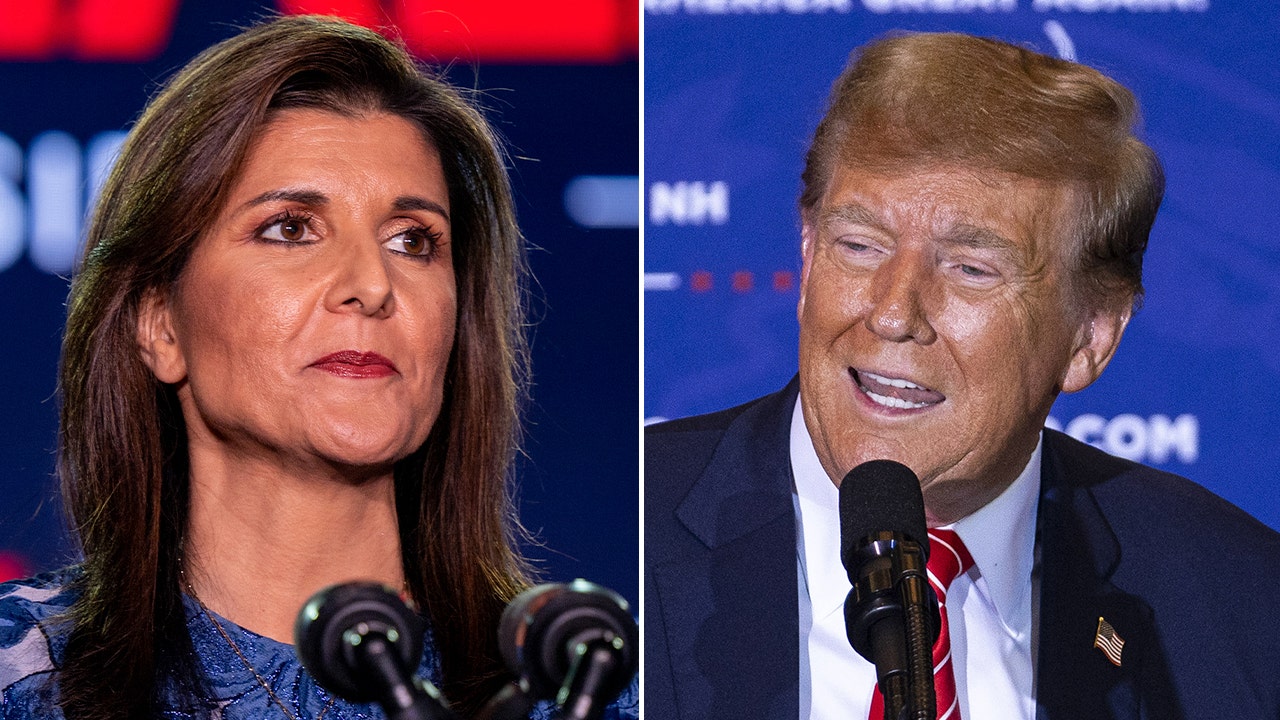 "Nikki Haley's Dilemma: The 2024 Race and the Republican Party's Future"
