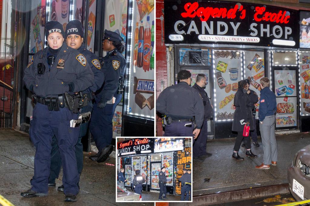 Fatal Shooting at Harlem Smoke Shop: Suspect at Large