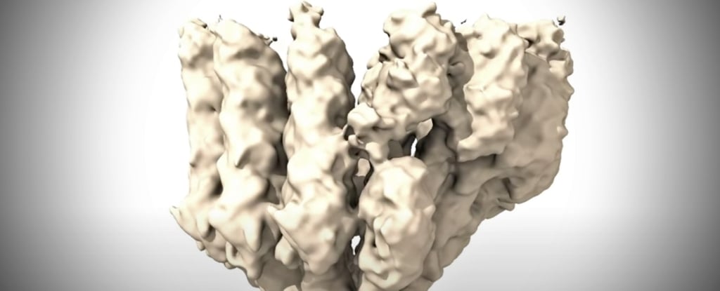 Featured image for "Breakthrough: First-Ever Images Capture Cell Building Its Molecular Highway"