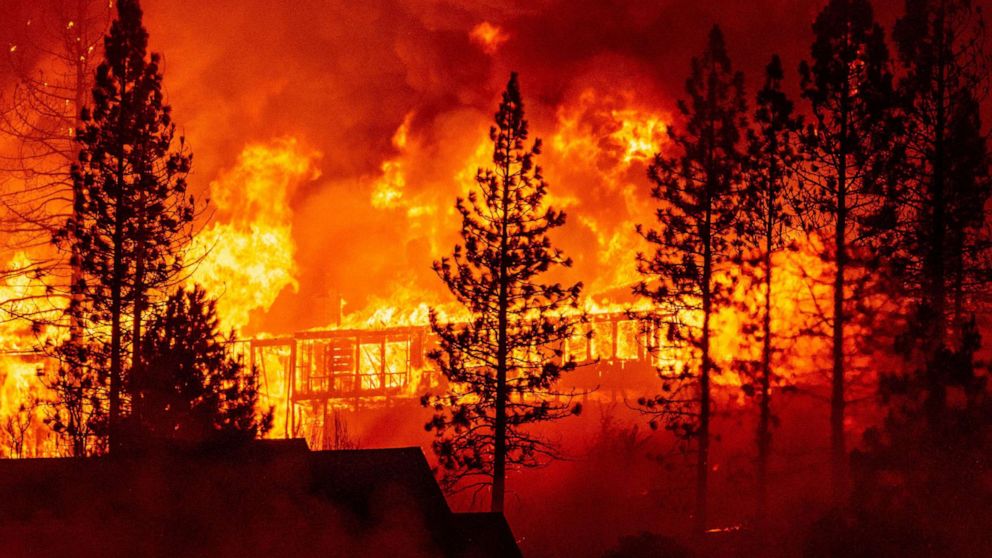 State Farm Halts Home Insurance Sales in California Due to Wildfire Risk