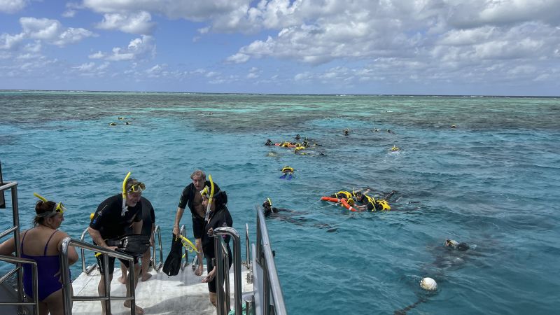 Great Barrier Reef Remains Under Serious Threat Despite Escaping UNESCO 'In Danger' List