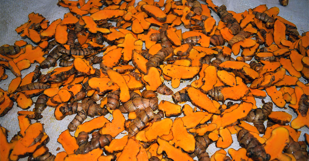 Featured image for Turmeric's Potential Role in Weight Management for Diabetes