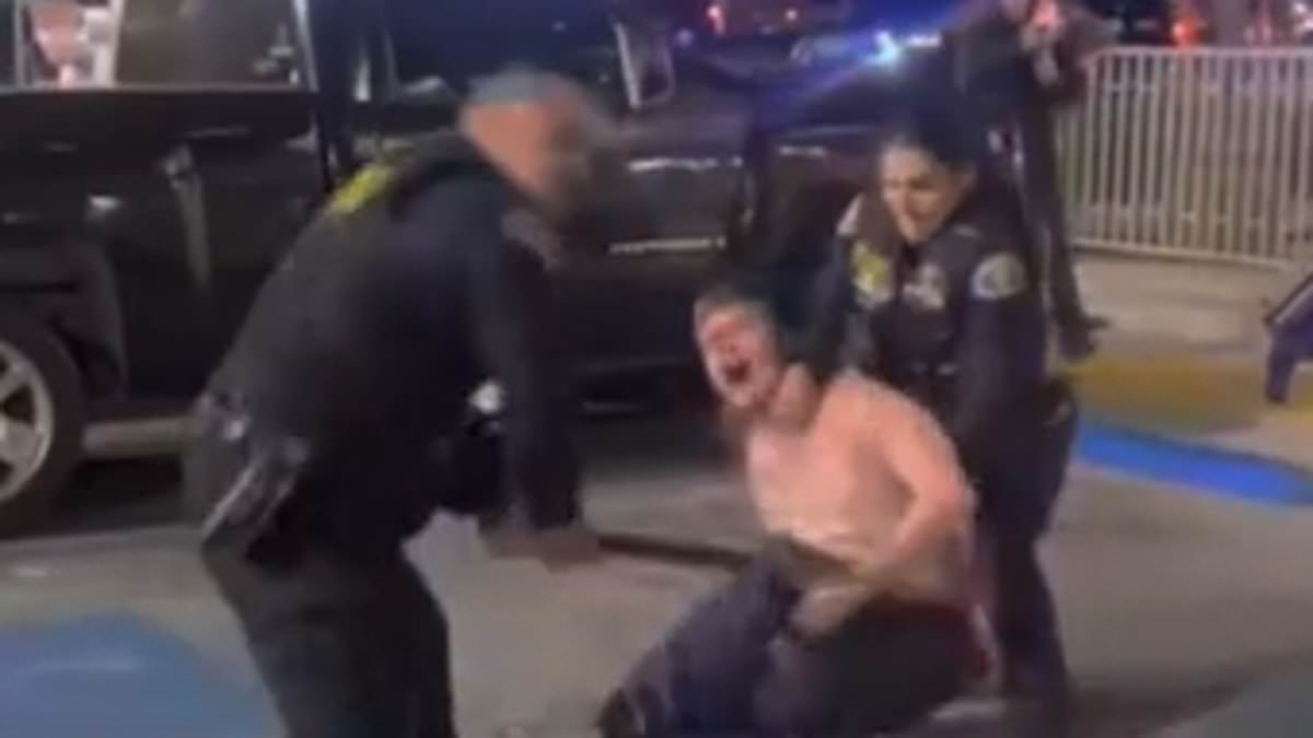 "Caught on Camera: Police Use Excessive Force on Suspects at McFarland McDonald's Parking Lot"