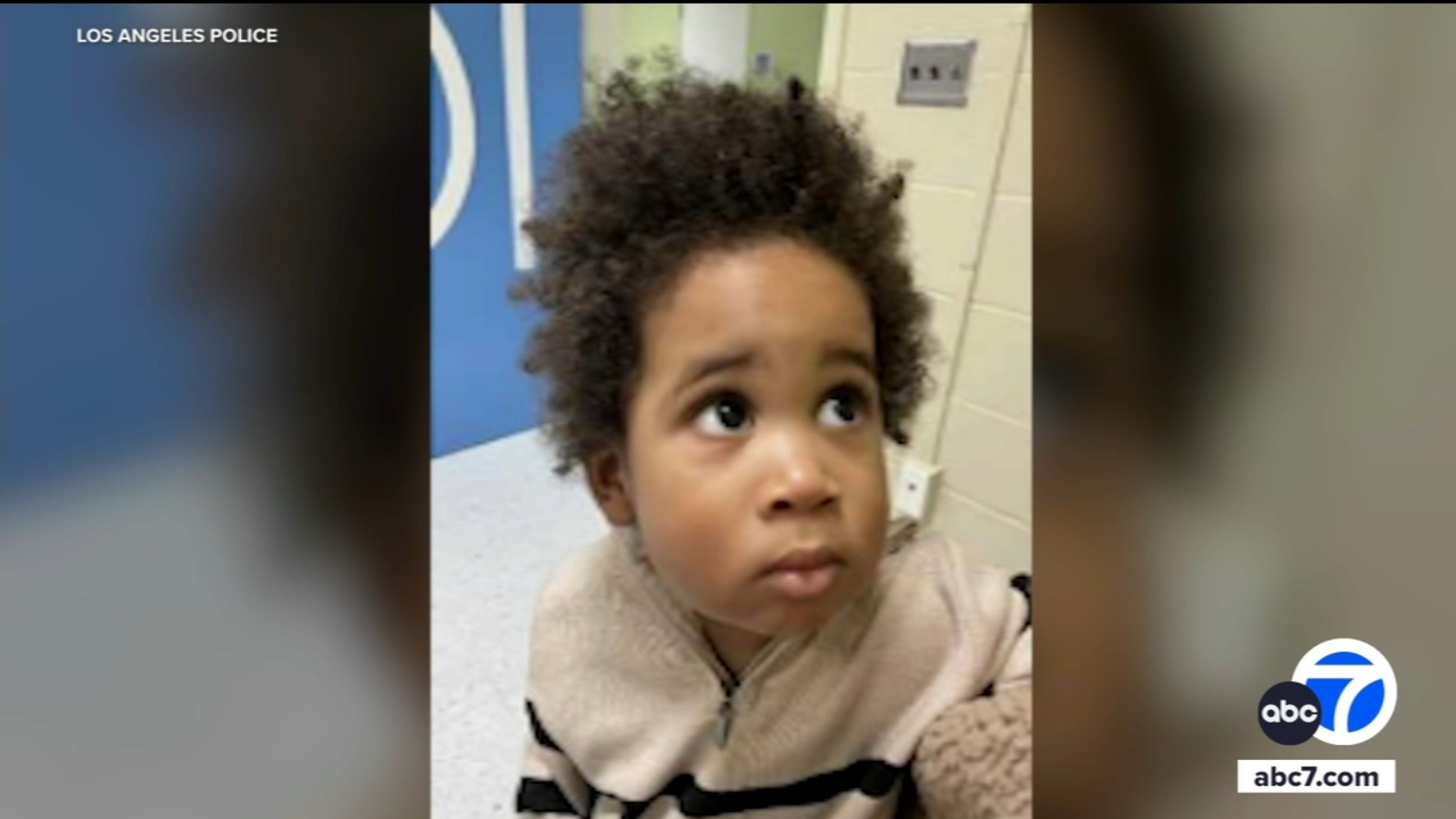 Featured image for Mother Arrested After Toddler and Dog Left Behind During Car Theft in Highland Park