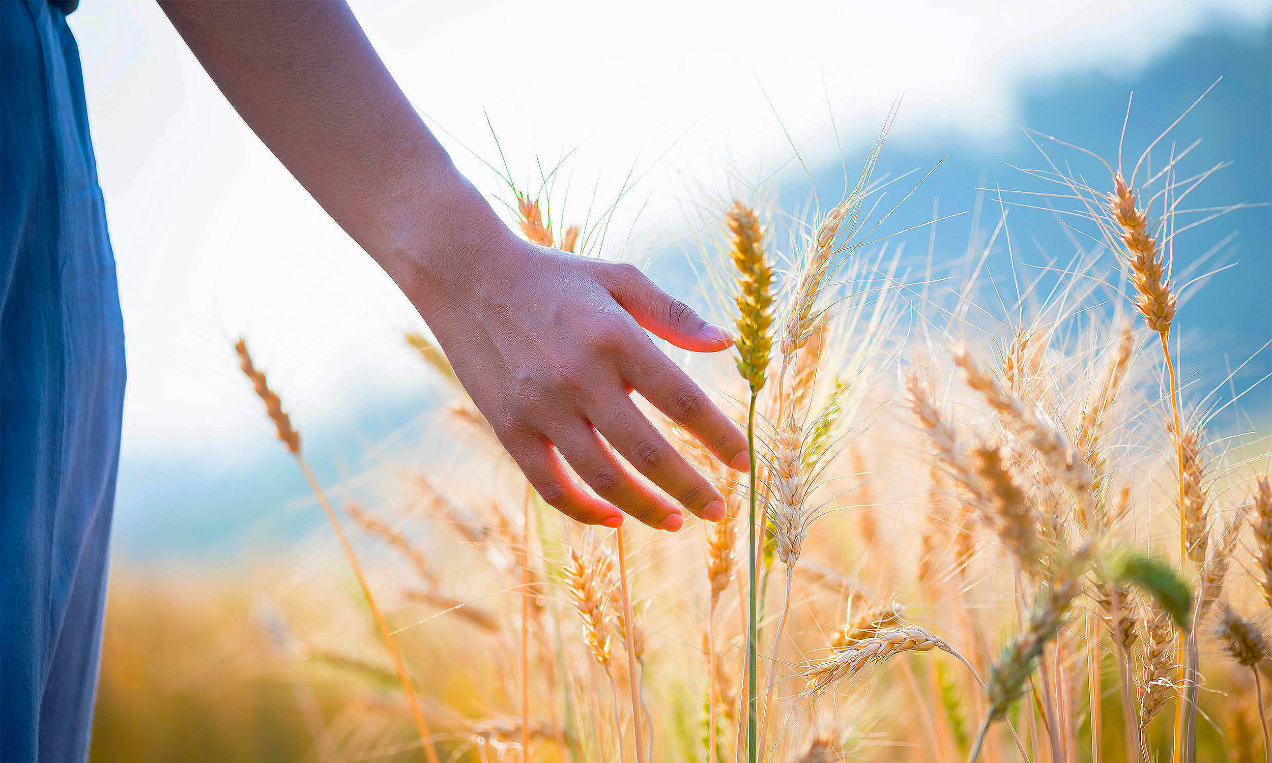 Featured image for Scientists Discover Human 'Remote Touch' for Detecting Buried Objects