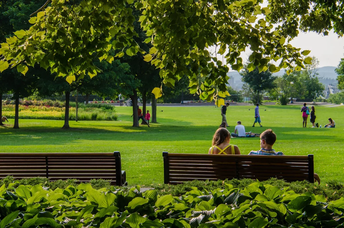 Featured image for Researchers Find Unexpected Behavior Exception in Public Parks
