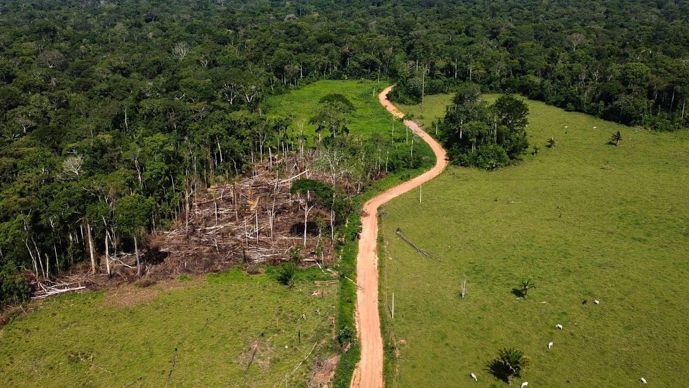 Featured image for Brazil's Amazon deforestation decreases by 34% under Lula's leadership, but El Niño raises forest fire risk
