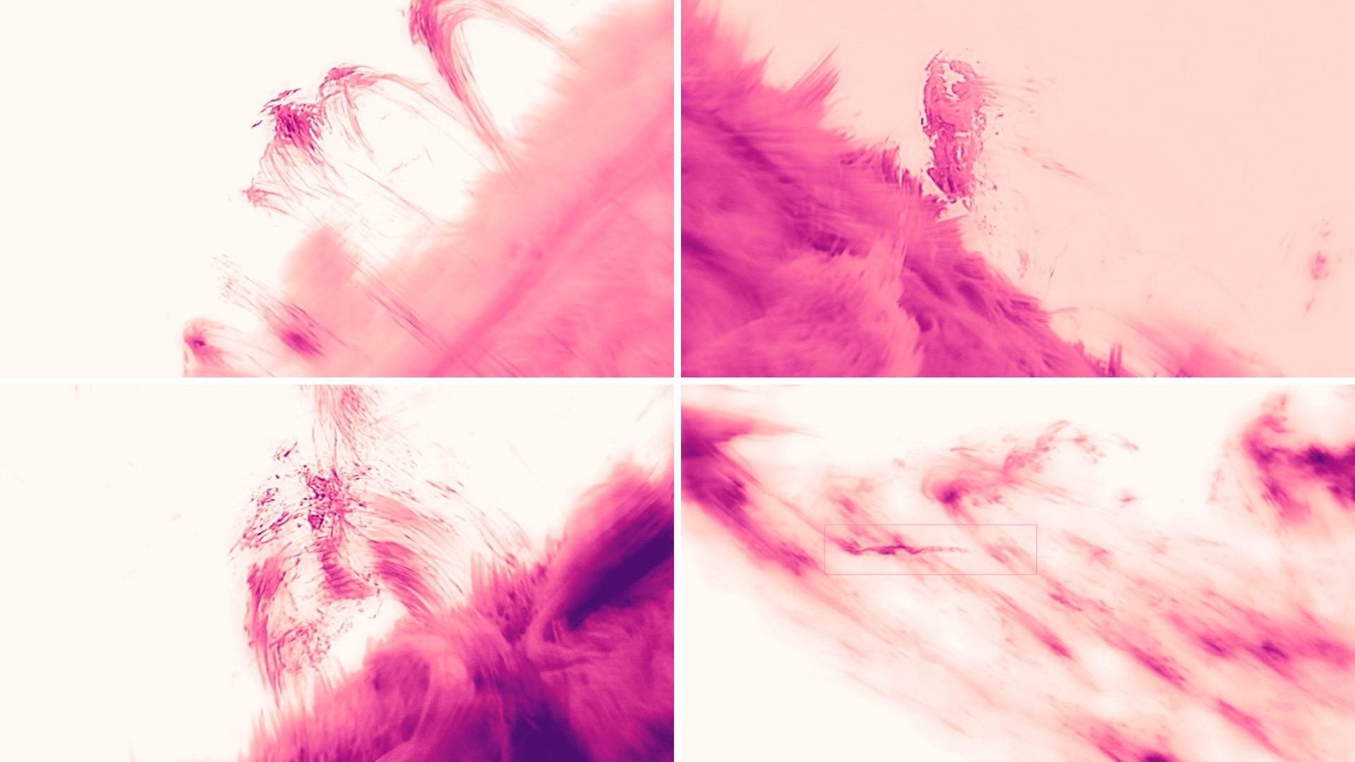 Featured image for Scientists Capture Unprecedented High-Resolution Images of the Sun's Corona and Sunspots