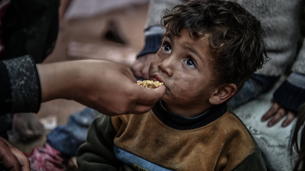 "Gaza Residents Forced to Eat Animal Feed as Food Supplies Dwindle"