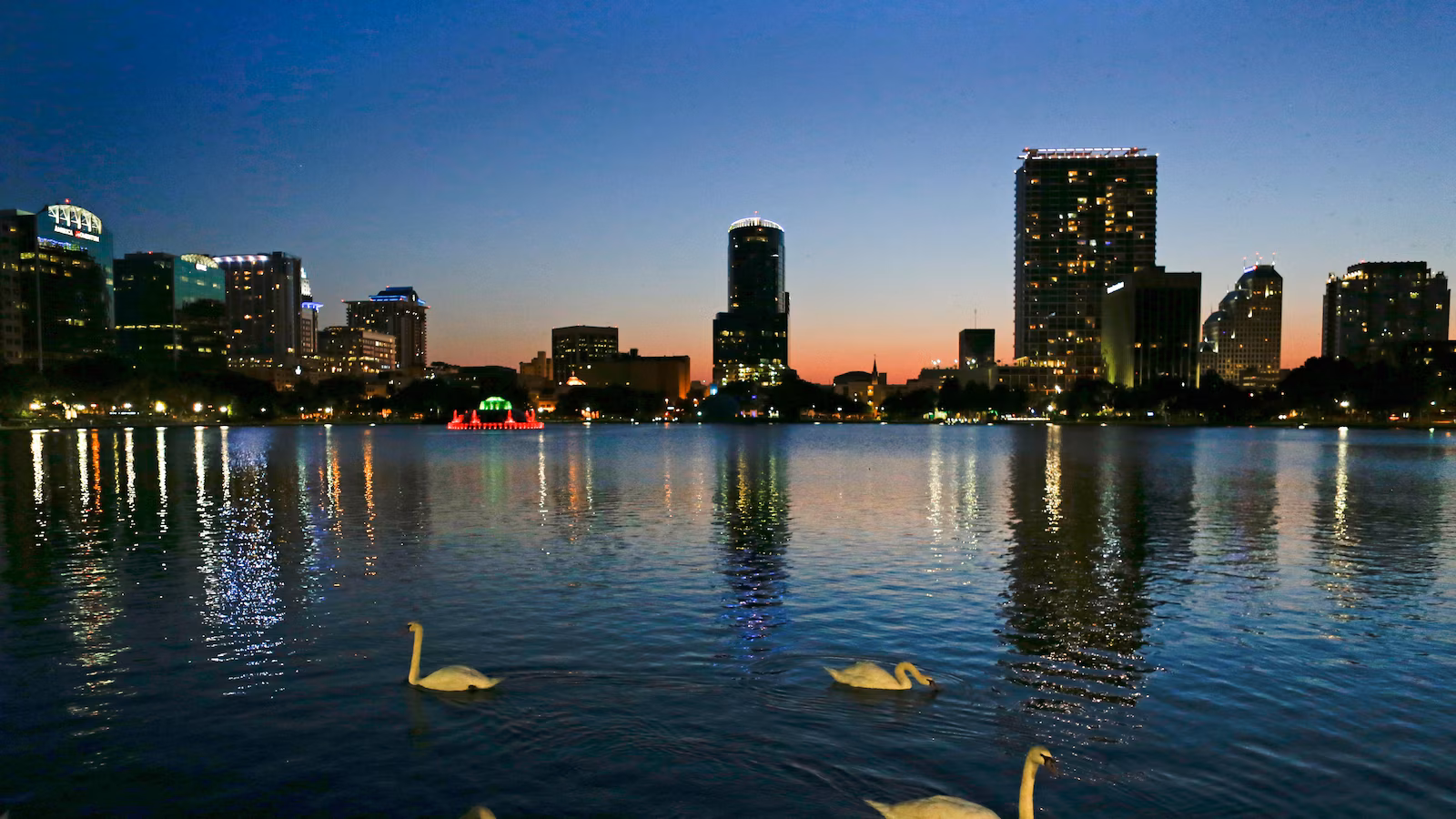 Featured image for Bird Flu Suspected After 12 Swans Die at Orlando's Lake Eola