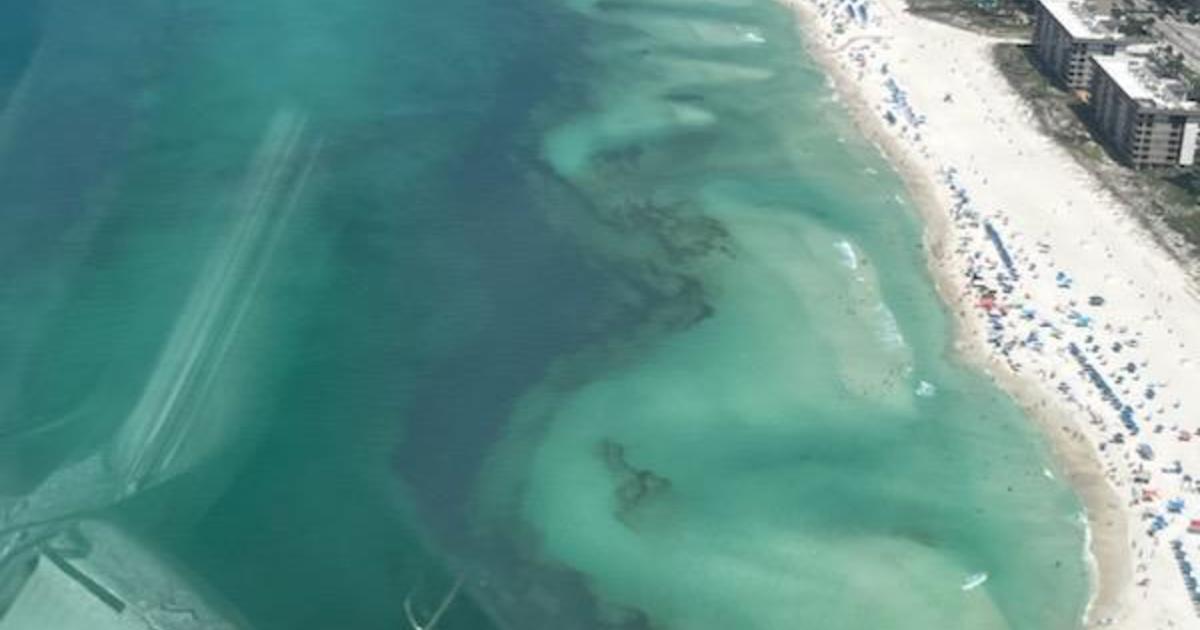 Featured image for Rising Death Toll: Multiple Drownings Shake Gulf Coast Beaches