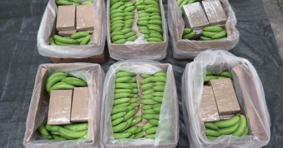 Featured image for Record-breaking Cocaine Bust: £450m Seized from Banana Shipments