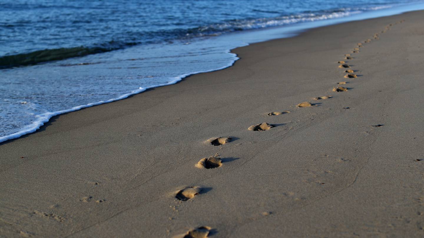 Beach Closures: Bacteria and Algae Contamination Affects Multiple Locations