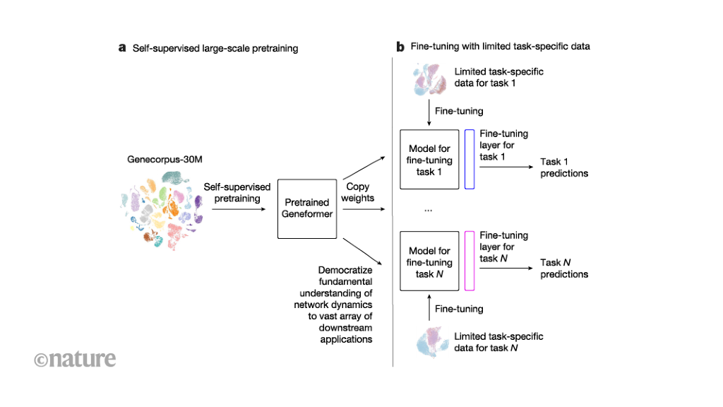 AI predicts gene interactions for faster treatment targets.