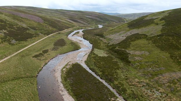 Scotland's Hidden Treasures: The Enigmatic Freshwater Pearl Mussels