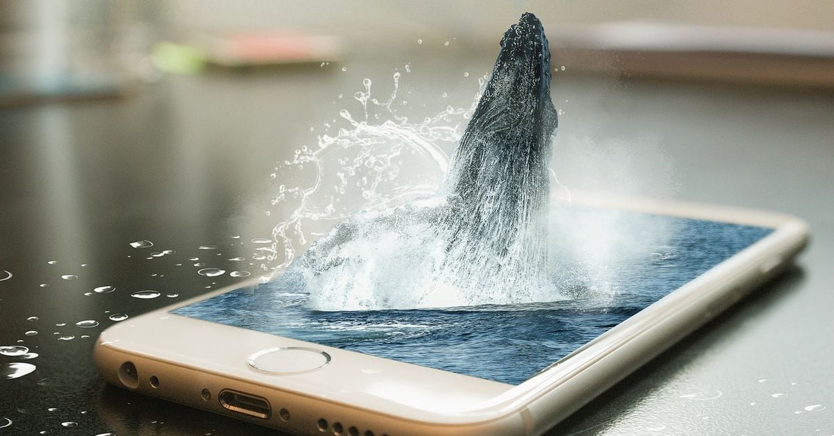 Bitcoin Whales Accumulate $3 Billion in January, Fueling BTC Price Recovery