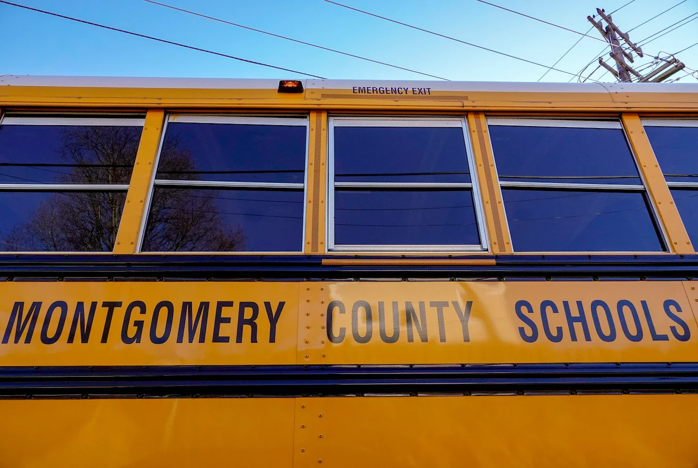 Court upholds trans pronoun policy in Maryland schools