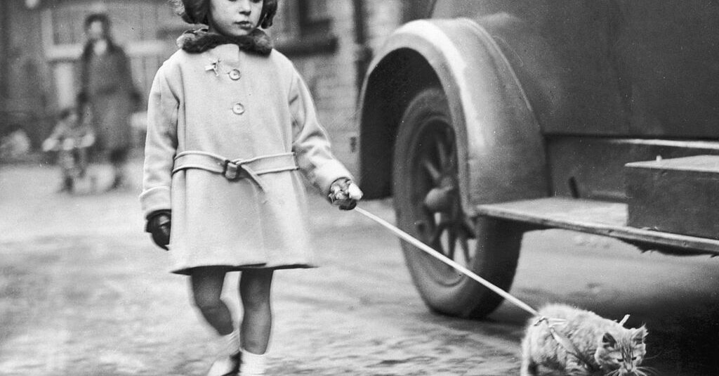 Featured image for Solving NYT Crossword: Swinton, Opinion, and Jeff.