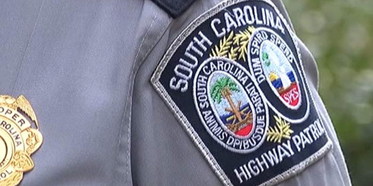 Featured image for Fatal Collisions on I-26: One Dead in Vehicle-Pedestrian Crash, Single-Vehicle Collision