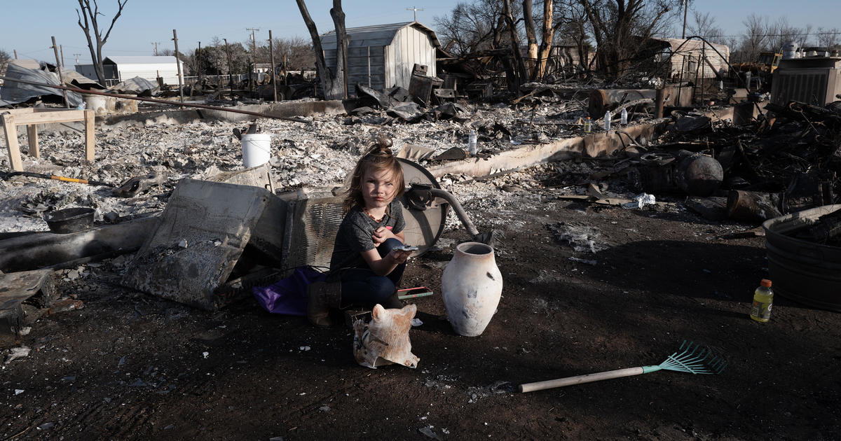 "Texas Panhandle Wildfires: Devastation, Long-lasting Effects, and the Race to Save Animals"