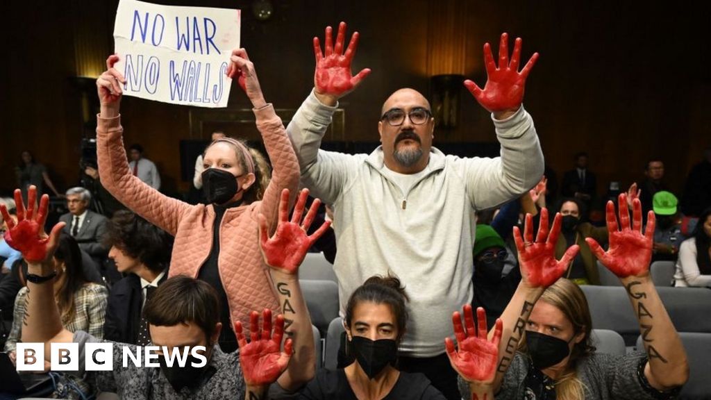 Protesters Disrupt Senate Hearing, Condemn Blinken's Actions on Israel