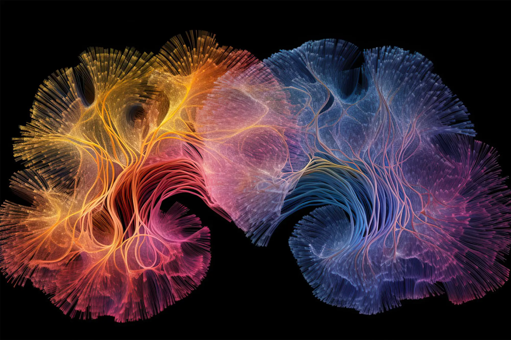 Mapping the Brain's Neuroreceptor Organization for Improved Understanding.