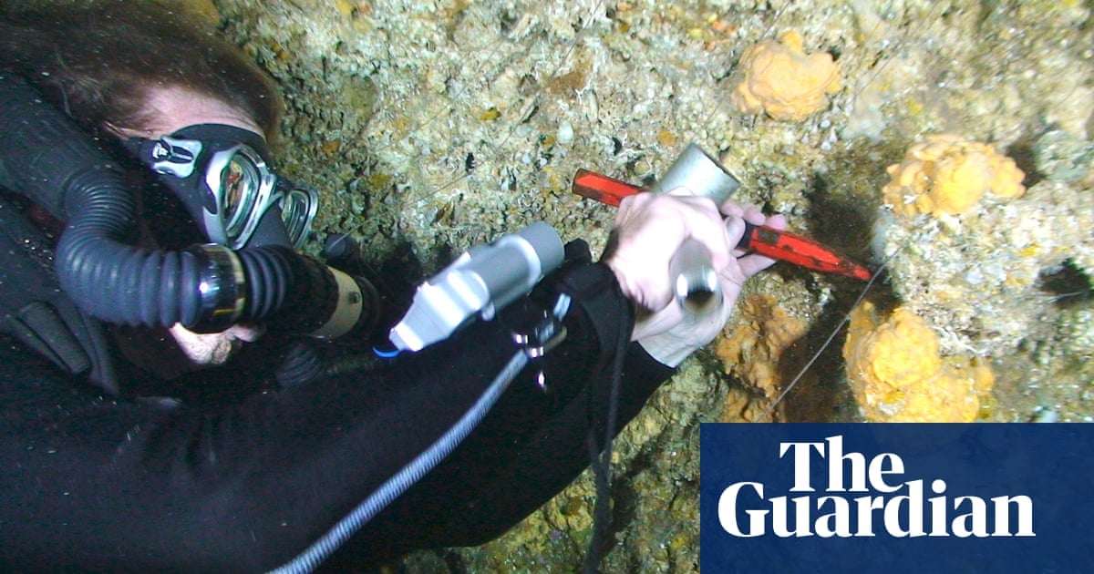 Featured image for "Sea Sponges' Climate Records Suggest Earth Has Surpassed 1.5°C Warming"