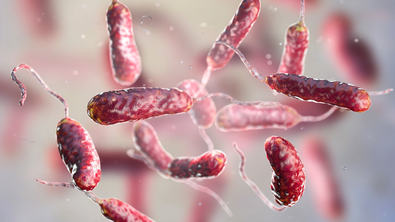 Featured image for Rising Death Toll: Flesh-eating Bacteria Claims Lives Across Multiple States