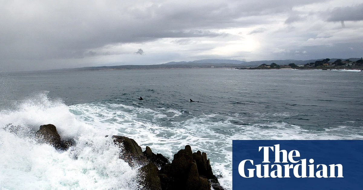 Featured image for Triathlete's Body Found After Suspected Shark Attack in California