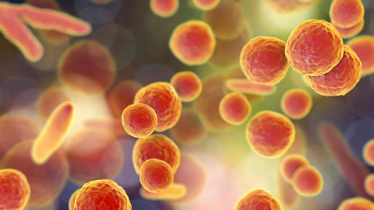 Featured image for "Superbugs Identified as Culprit Behind 'White Lung' Pneumonia Outbreak, Say Chinese Doctors"