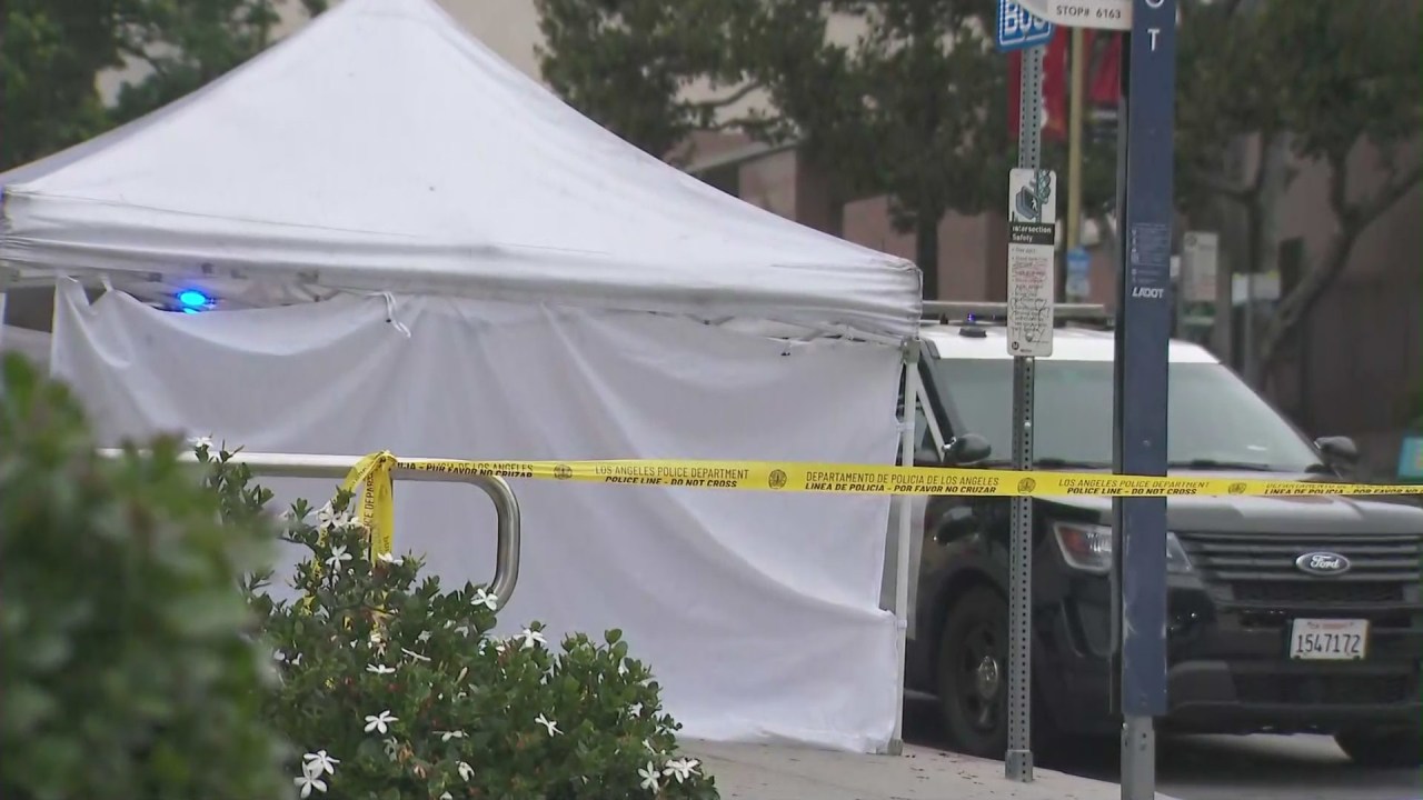 Investigation launched into suspicious deaths near downtown LA bus stop and Grand Park Metro station.