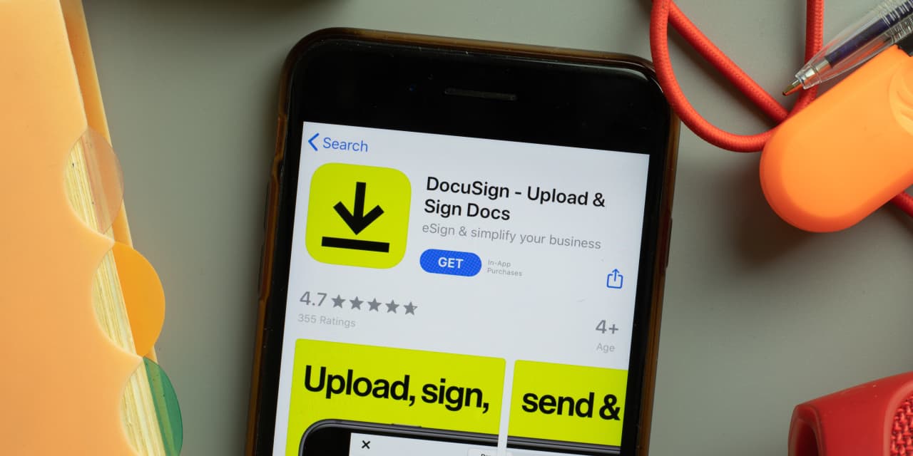 DocuSign Stock Soars on Impressive Earnings