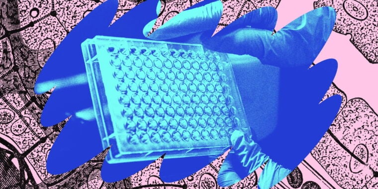 Featured image for Phages: The Ultimate Weapon in the War Against Bacteria