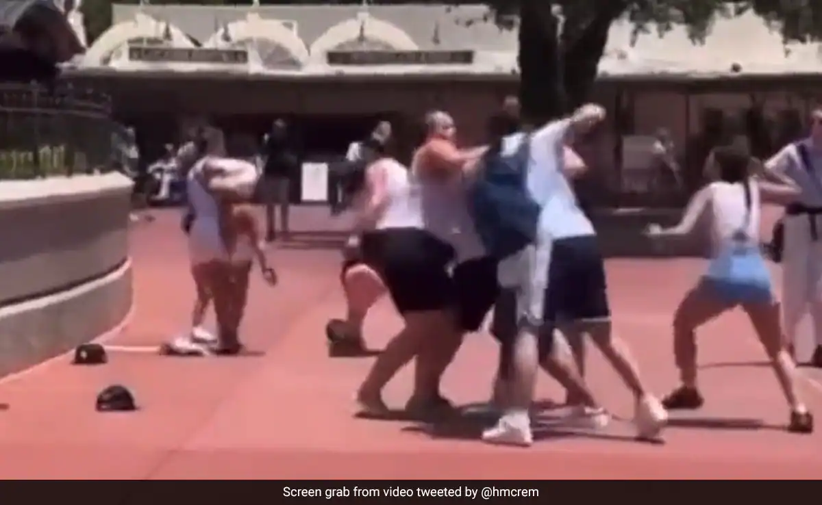 Violent Brawl Erupts Between Families at Disney World Over Picture Dispute.