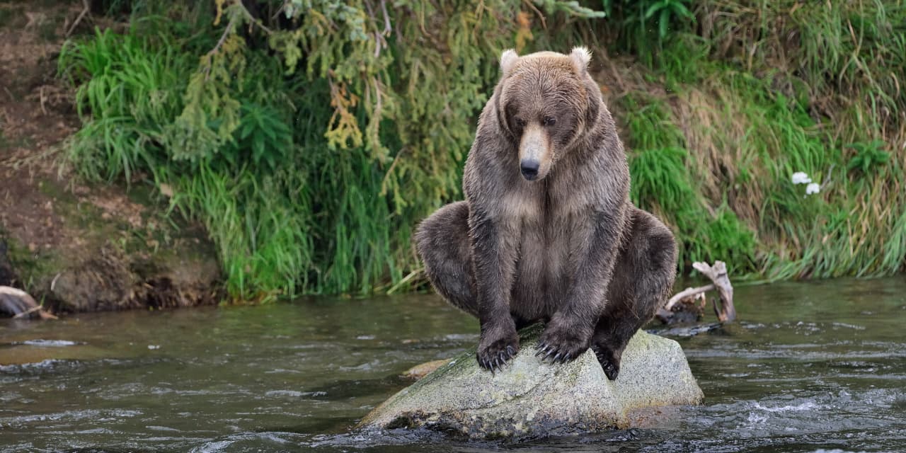 JPMorgan warns of 20% stock drop if bond market view considered.