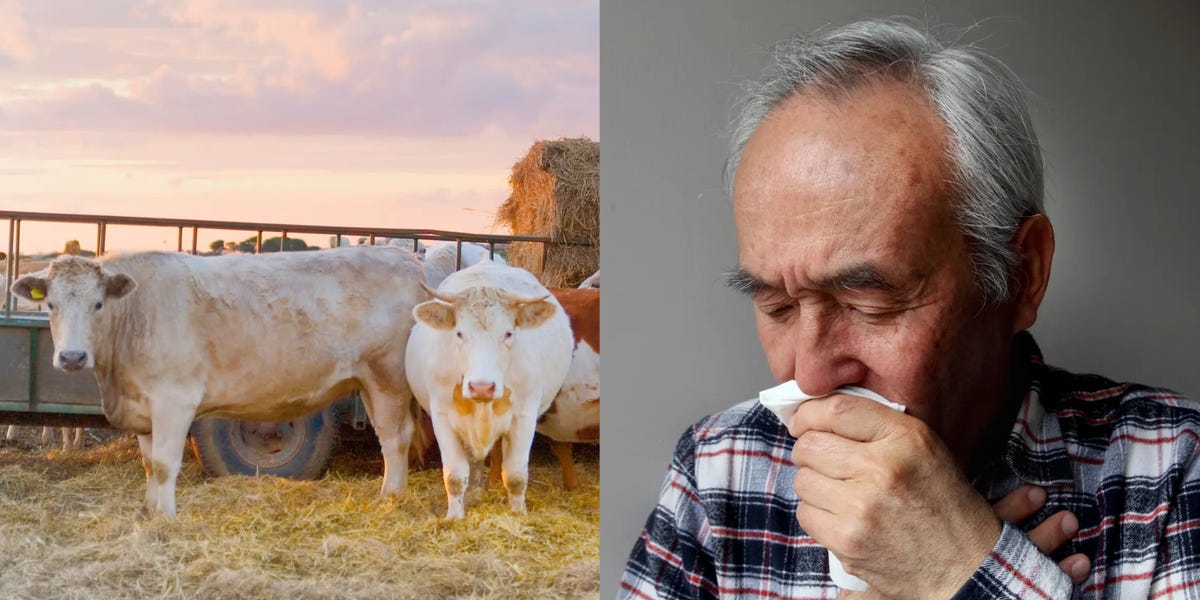 Featured image for "First US Human Bird Flu Case with Severe Respiratory Symptoms Alarms Experts"