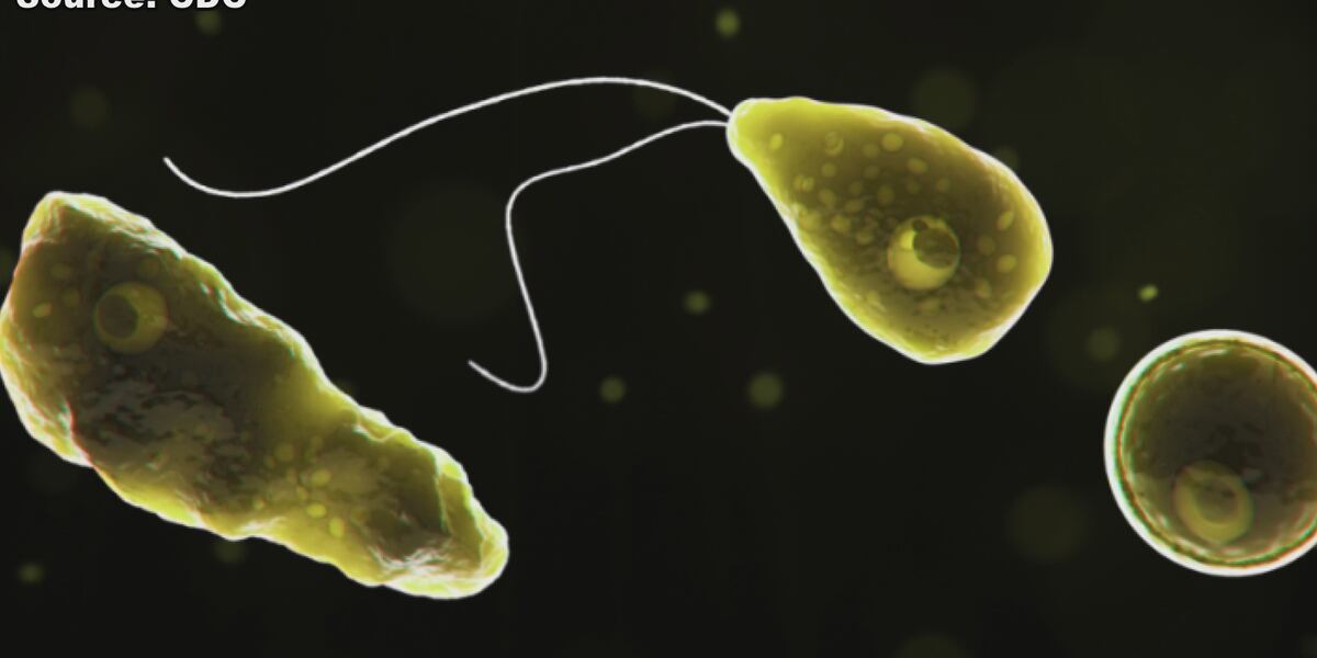Featured image for Rising Water Temperatures Pose Threat of Brain-Eating Amoeba Infections