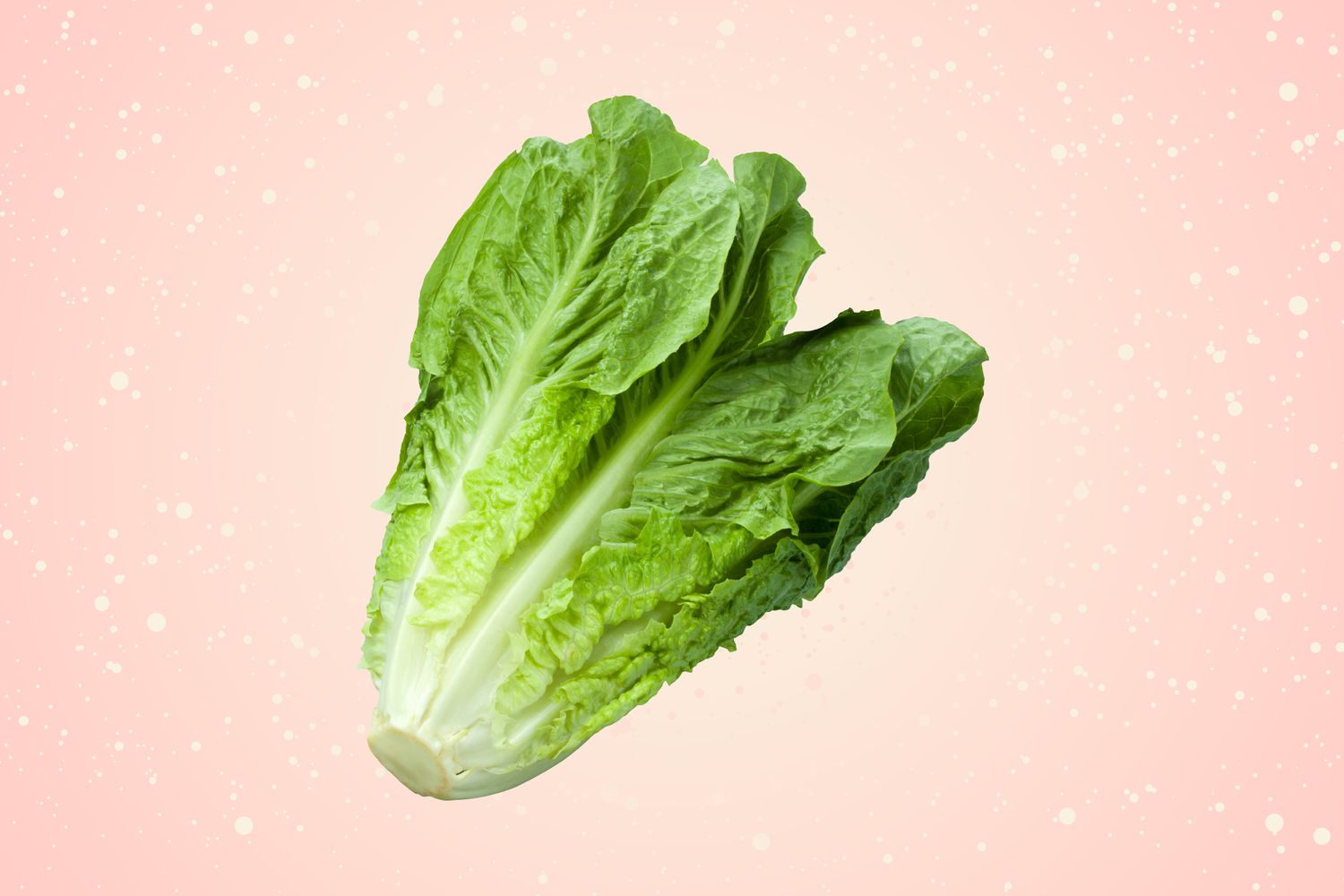 The Safety of Romaine Lettuce: A Salad Dilemma