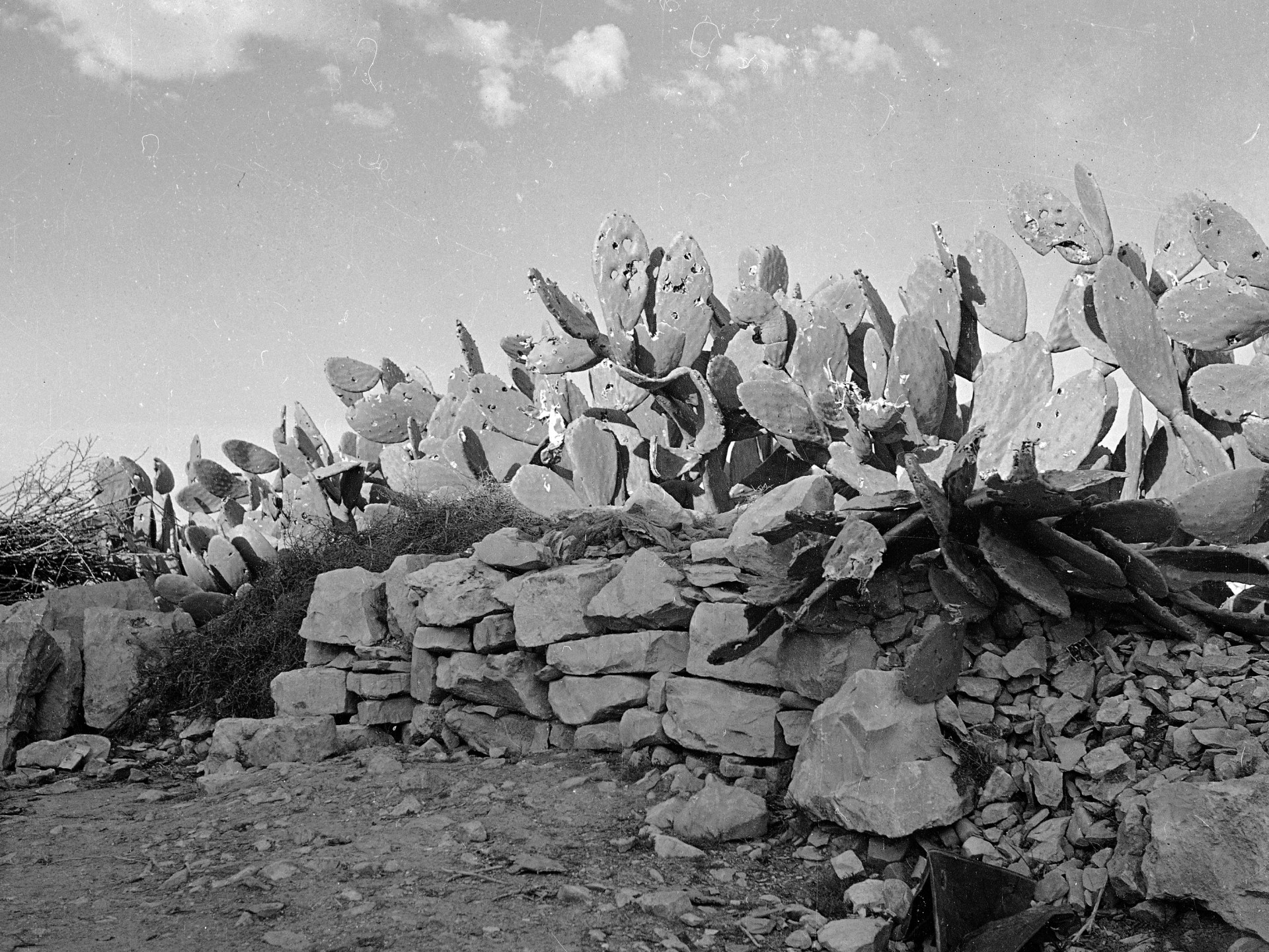 75 years later, the significance of the Deir Yassin massacre remains.