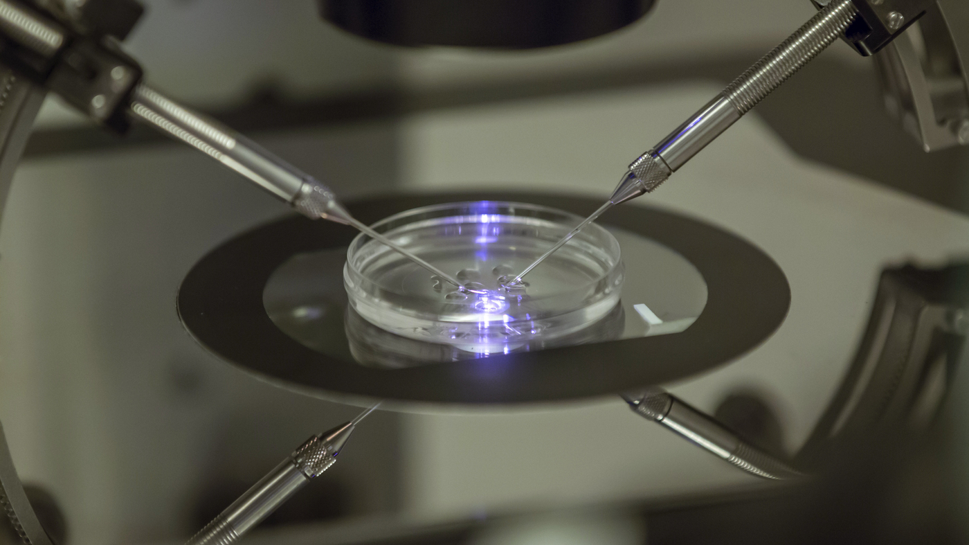 Alabama Supreme Court's Ruling on Frozen Embryos Sparks Concerns for IVF Patients