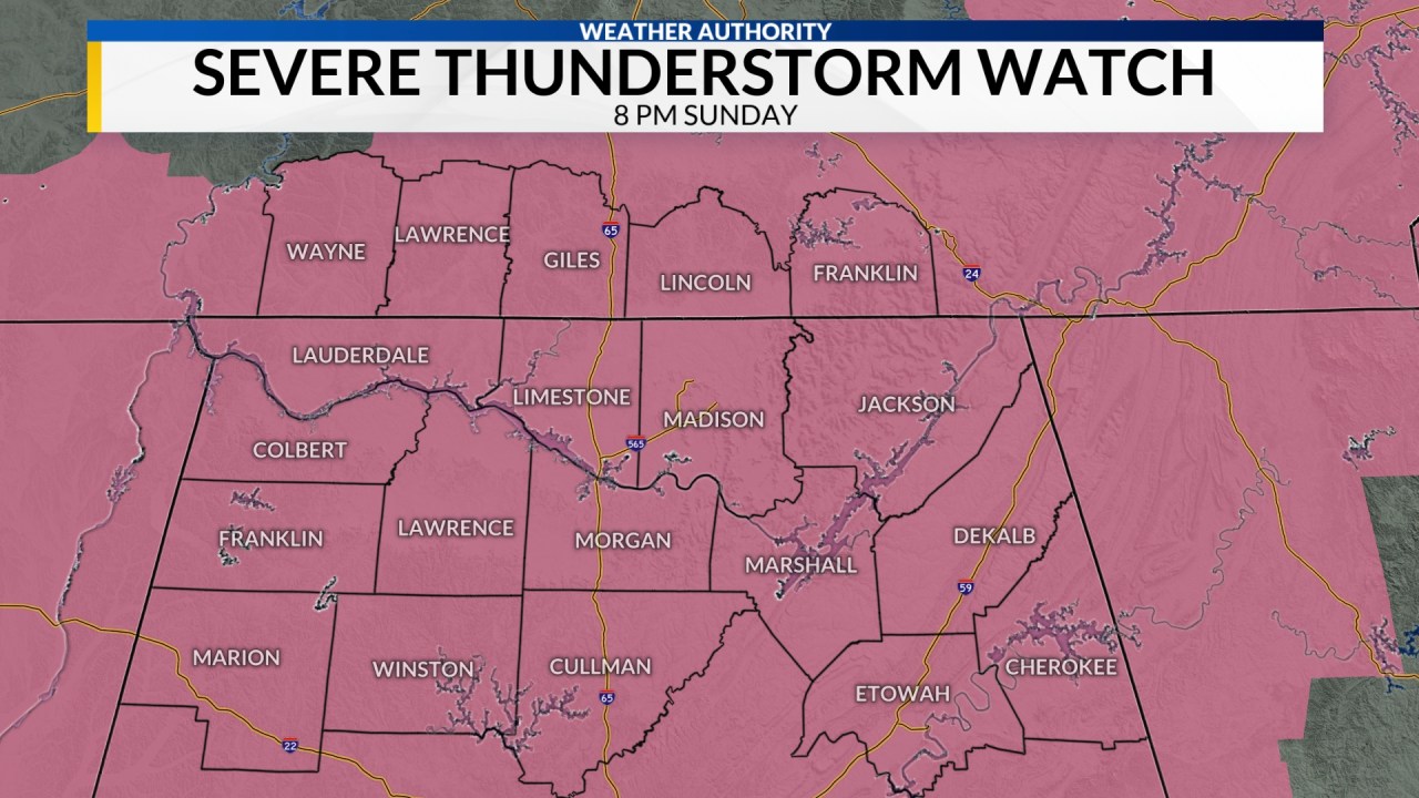 Impending Storm Alert: Thunderstorm Watch in Effect