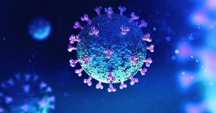 Featured image for COVID-19 Outbreaks Spread in Oakville and Burlington.