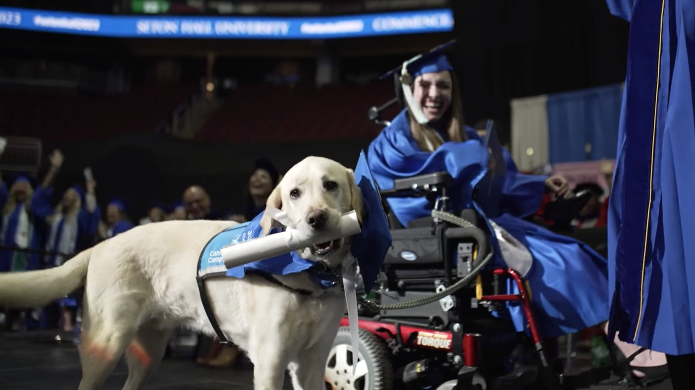 Featured image for Service dog graduates with owner, receives own diploma.