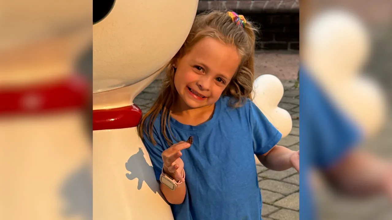 Featured image for Ohio Residents and Visitors Encounter Cicadas in Unusual Ways